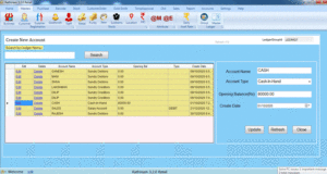 Ledger Entry