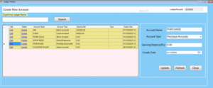 Ledger Accounts